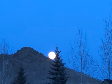 Q45qLuk1RZOFlYy9WArgww