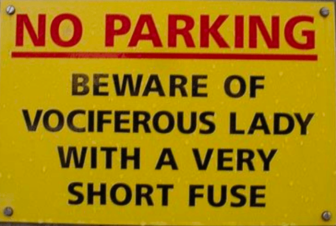 Screen Shot 2019-08-18 at 3.39.49 PM