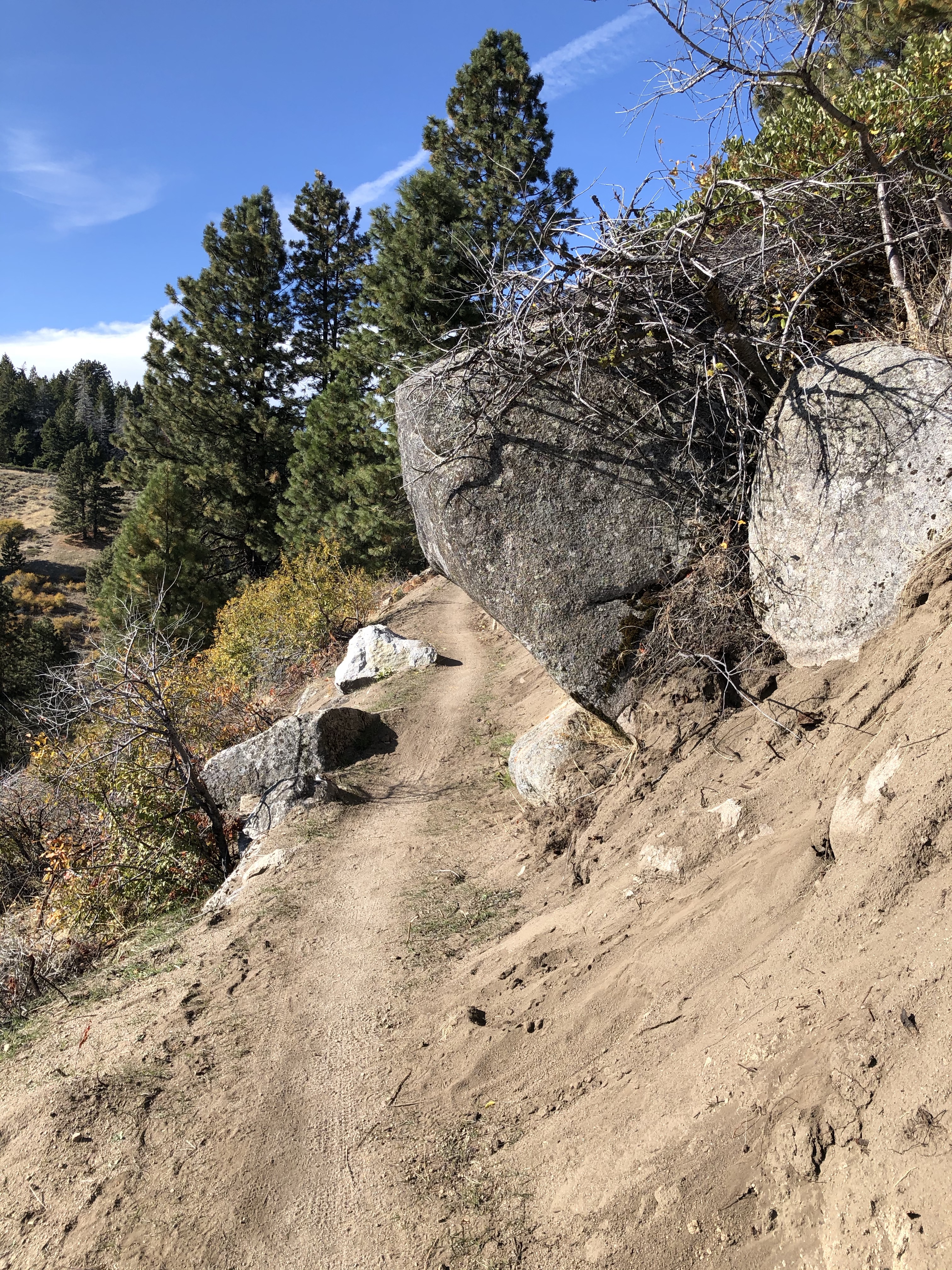 WJFTI3u8QgqsRQ1QQScJMA