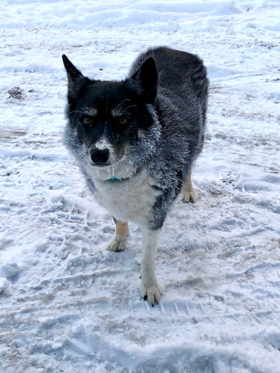 2FAD7FC9-5F0D-41B8-B6C1-CE395A9BC4B4_1_201_a