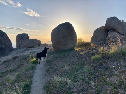 05E05805-C150-41CB-BB69-1FED1307C9E0_1_201_a